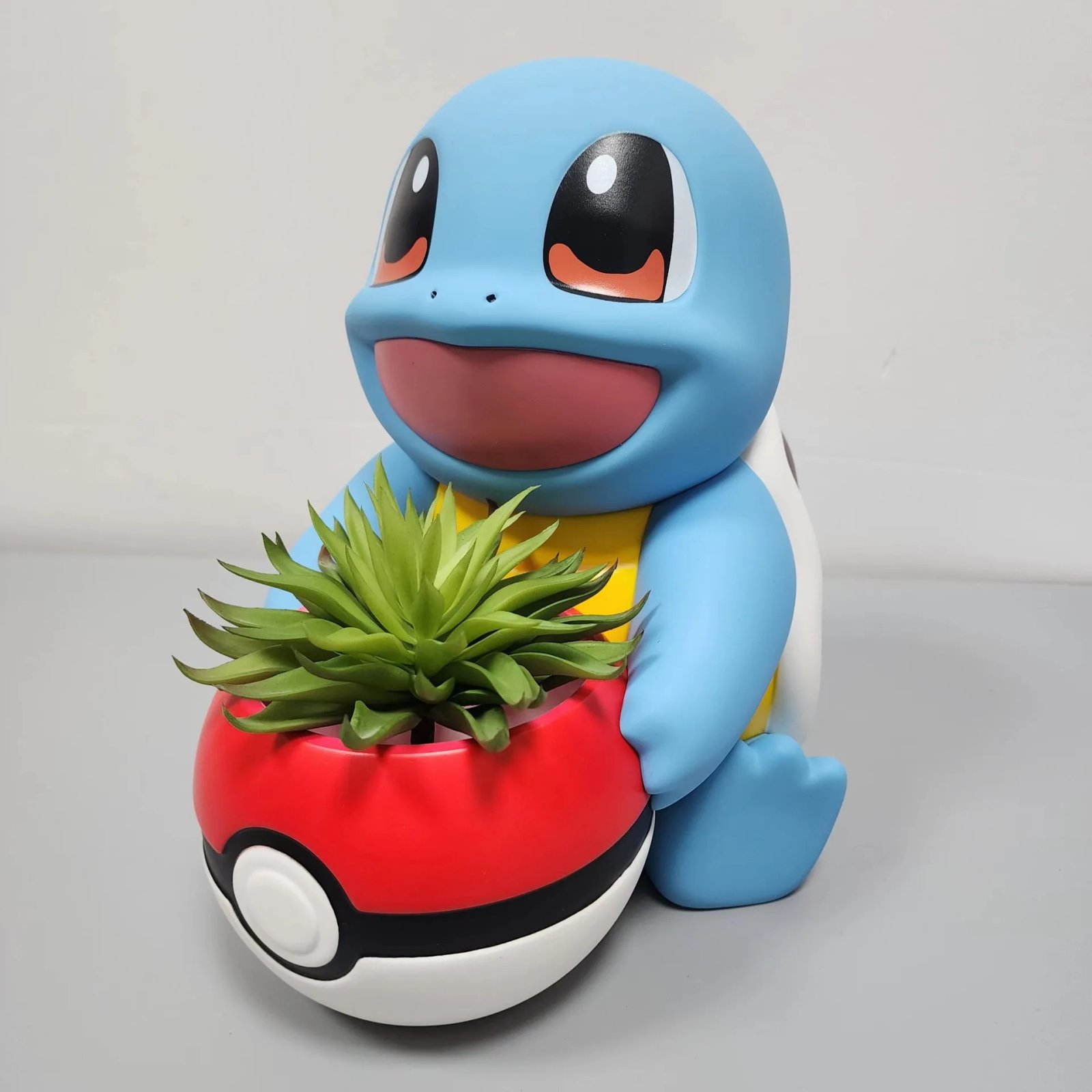25cm Squirtle